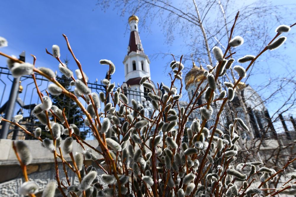 ������ ����������: ������� ������, ���������� ��� � ������� ������������!