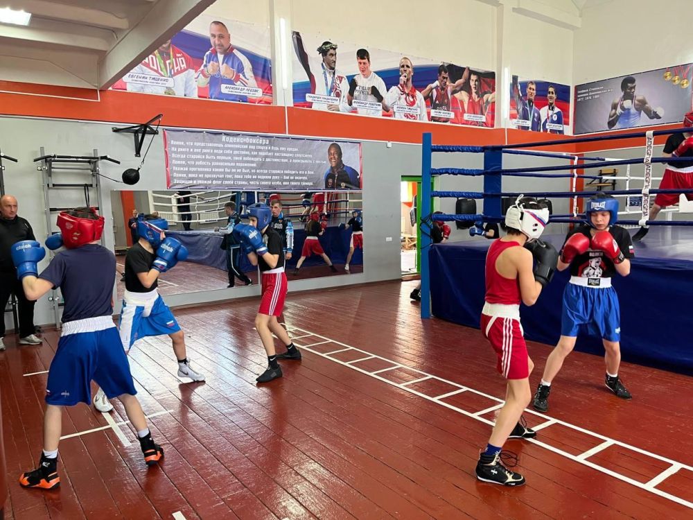 Боксеры ДНР вносят свой вклад в реализацию проекта ВПП «Единая Россия» «Детский спорт»