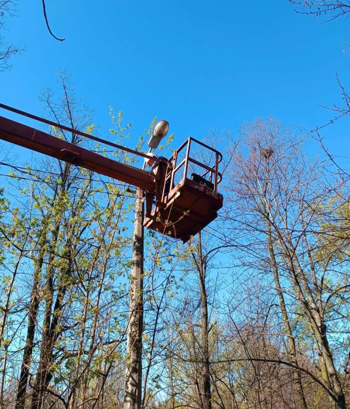 ������ ��������: ������������ �������� ��� ��� "�������������" ������� ����������� ������ �� ������ ������������ ���� � ������� ������ �� ������