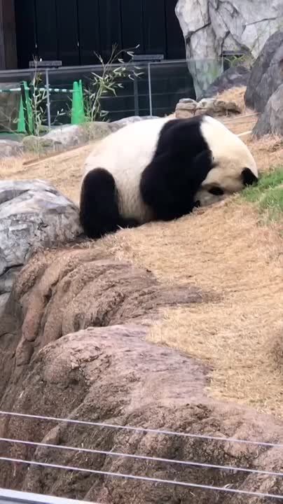 ��������� ����, ���������!