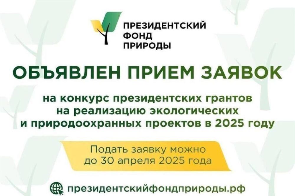 ���������� � �������� �� �������������� ������� ���������� ���������� ��������� �� ���������� ������������� � ��������������� �������� � 2025 ����