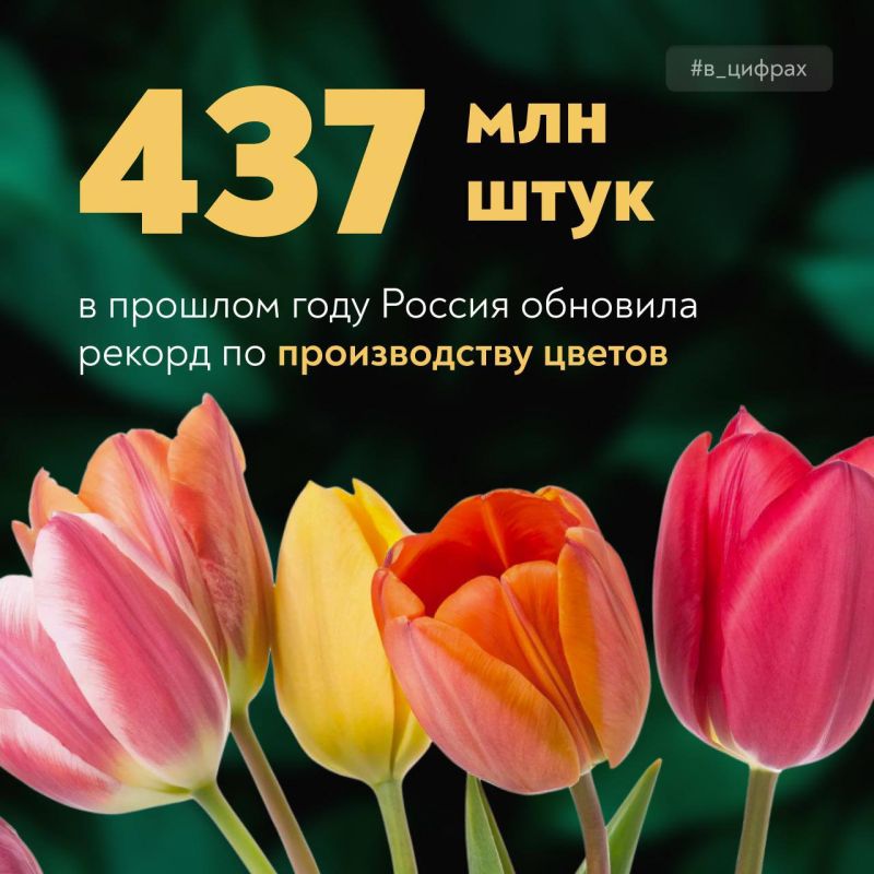 437 ��������� ������ � ����� ������ ������!