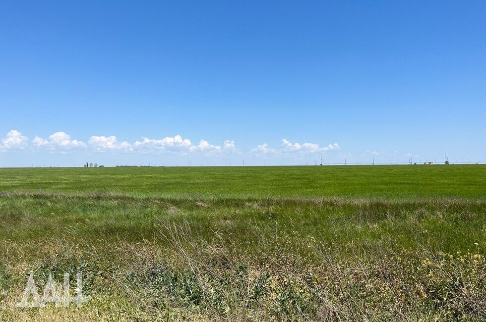 � ��� �� ��� ����� 250 �� �������������� ������ ������ �������� ������������