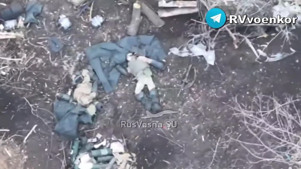 Улучшившие переговорную позицию Украины боевики ССО ВСУ, отправленные в мясную контратаку на наших штурмов, которые до этого успешно взяли важный опорник противника у села Богатырь на Кураховском направлении