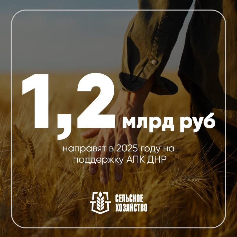 � 2025 ���� ������� ��� ������� 1,2 ���� ������ ������������