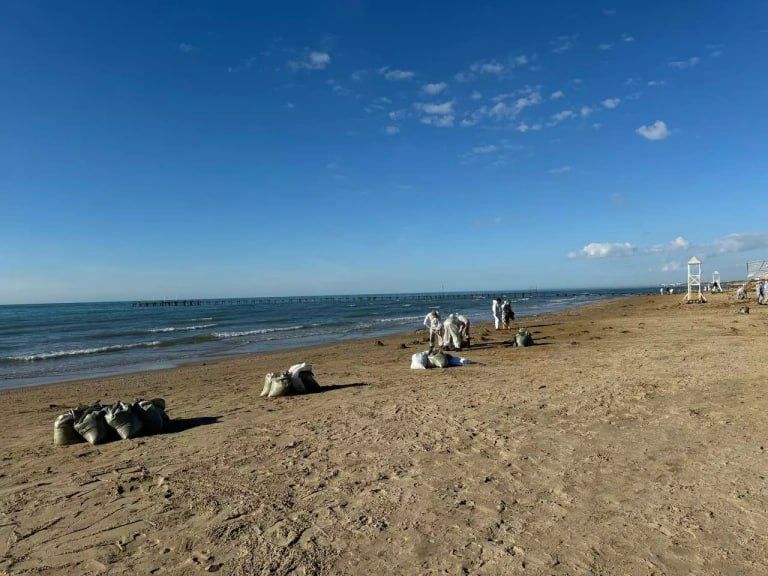 ����� �����: �� ������ ������������ ���������� ����������� ����� �� ���������� ������������� ��������� � ������� ������ ����� �������� �������� �����������-212� � �����������-239�