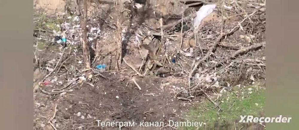 ������ �������: ������� ����� ����������� ���������� ������ ������ ������� ���������� ������ ���-1� "����������" �� �� �� ����-�������� �����������