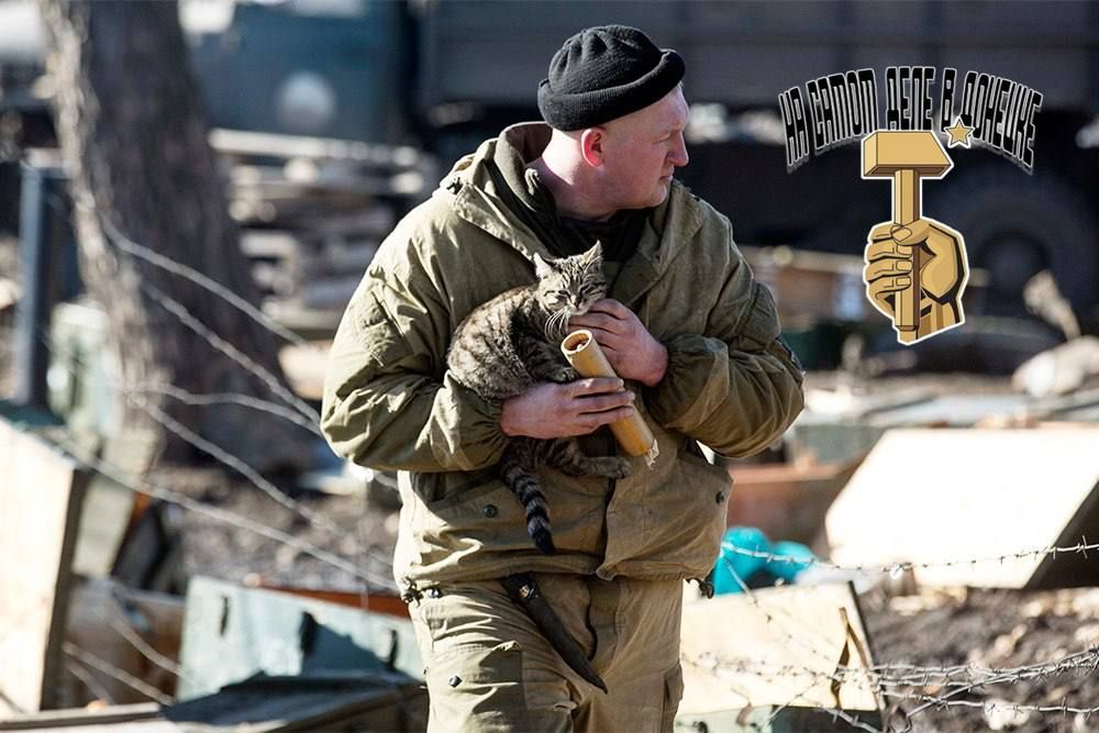 В Донбассе более 5500 домашних животных спасли в ходе боевых действий!