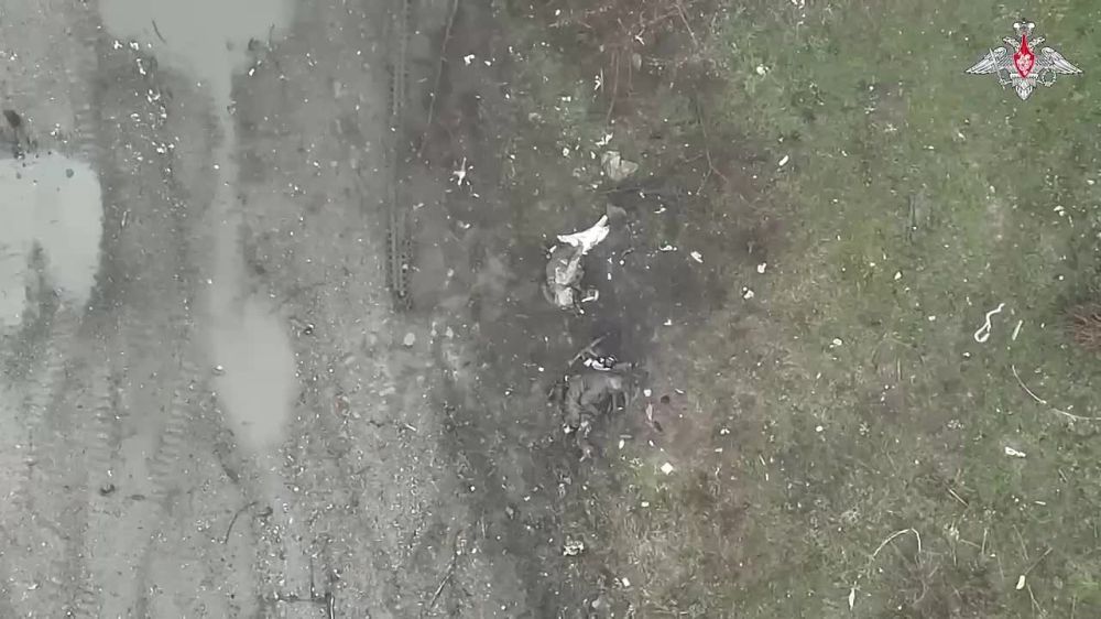 ���������-���������� ����������� ���������� ��� ���������� ������� ������������ ��� � ������ ����� ���