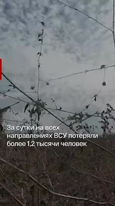 ������� ������� �� ����:. ������ � �����: ������������� ����������� �������������� ������� ����������� ��� ����� ������� ������ ������ ���������� ������ ��� ���������� ��: ���������� ����� ���������� ���� ������������ � ���...