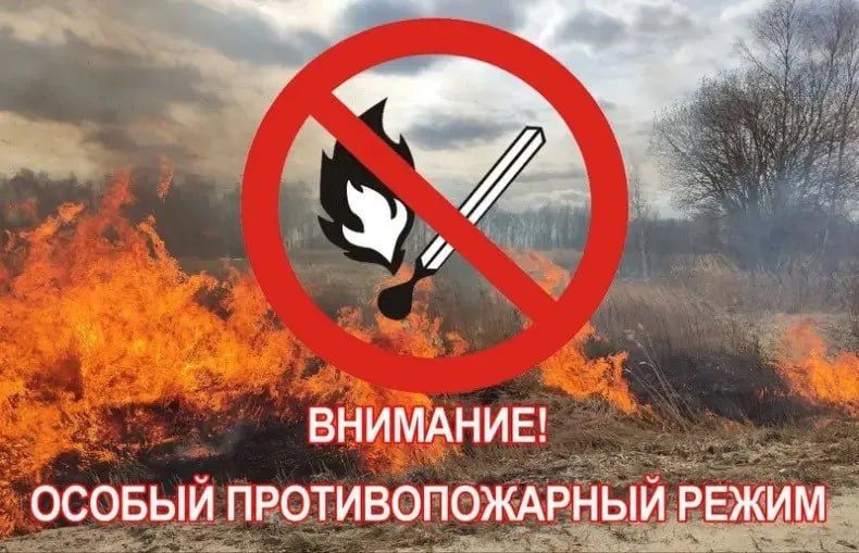 � �������-������ ������������� ������ ������������� ���� ������������� ����������, ���������� ������� ���������� �������� �����, � �������� ��������������� ����� ������ � �������� �������, ��������� ������ �������������...