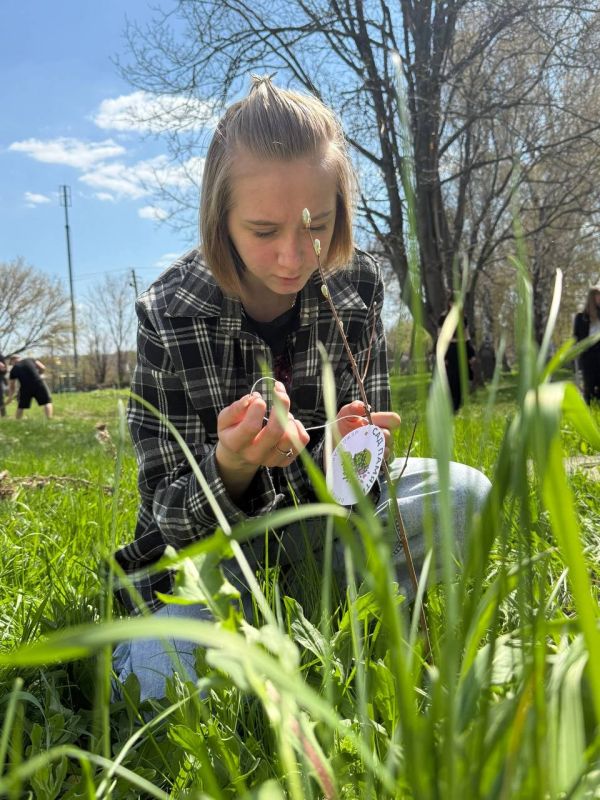 Игорь Лызов: В Амвросиевском муниципальном округе прошла масштабная экологическая акция «Сад Памяти»