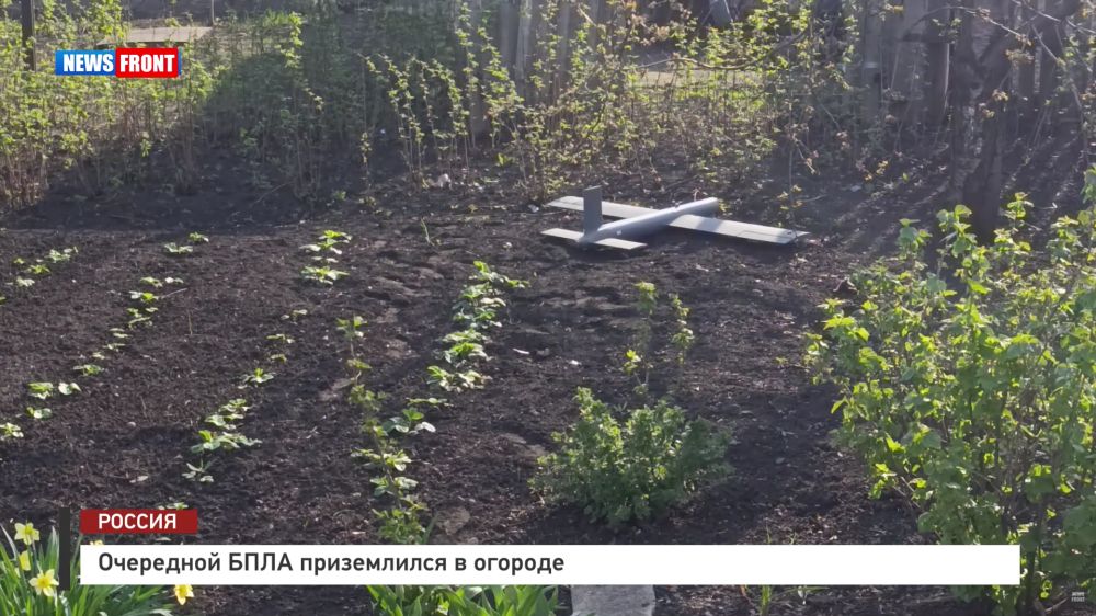 ��������� ���� ����������� � ������� � �������� News Front