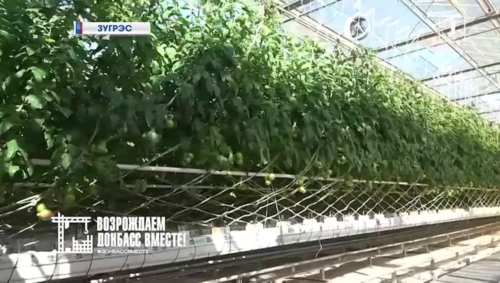 ���� ����� ��������: �������� �������� ������� �������� � �������! ����� ��������� ��� �� ��������� ������� ����� �������?