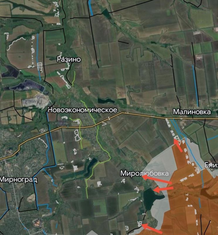 ���� �������: ��������������� (������������) �����������