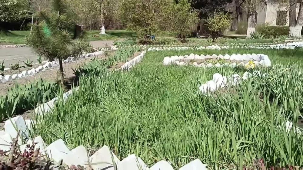 ����������� ������� �������� ����������� �������� ������������� �������� ����������� ������ ��������������� �������������