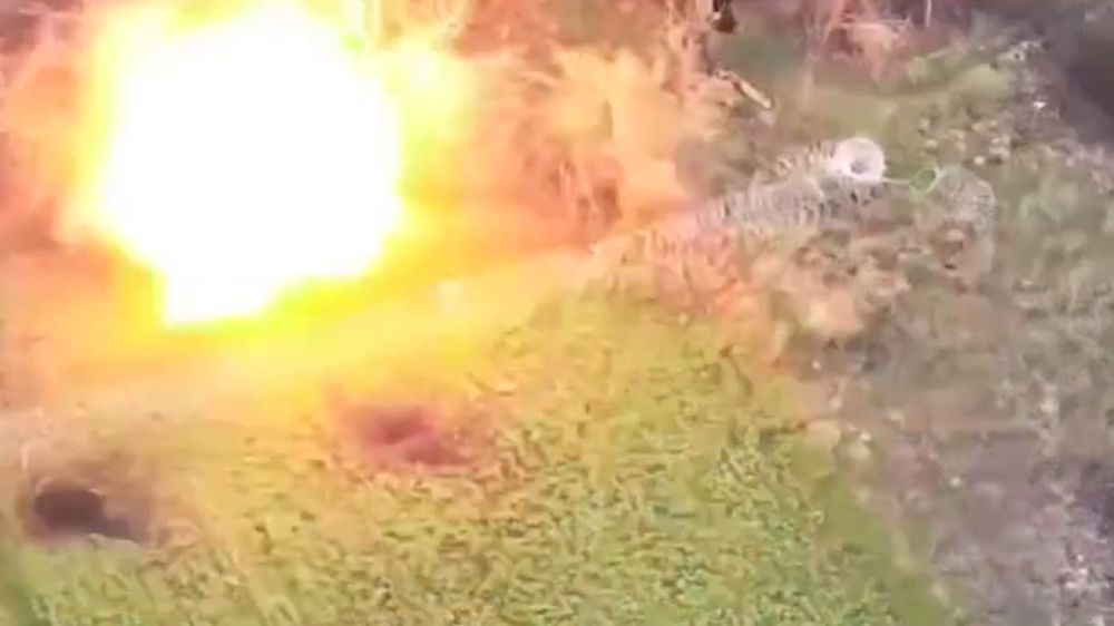 FPV-���� ��������� ������� ��� � ���������� ���������� � ���� ���