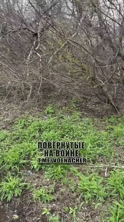 ����� �� ������� ����������