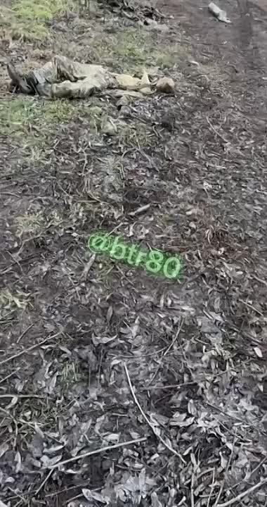 �� ���������� ����������� �� ������ ������� ���