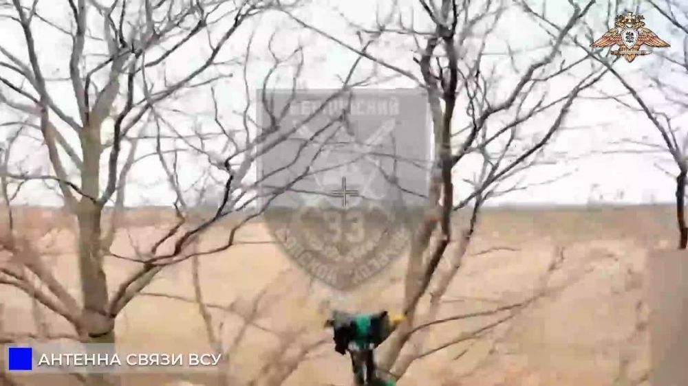 ����������� �����������, ������� ����� � ������������� ���