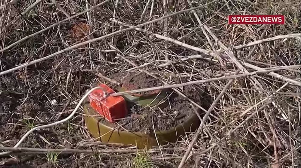 �� ������ � ������ ��� ������������ ��������-������������ � ������ ������ ���