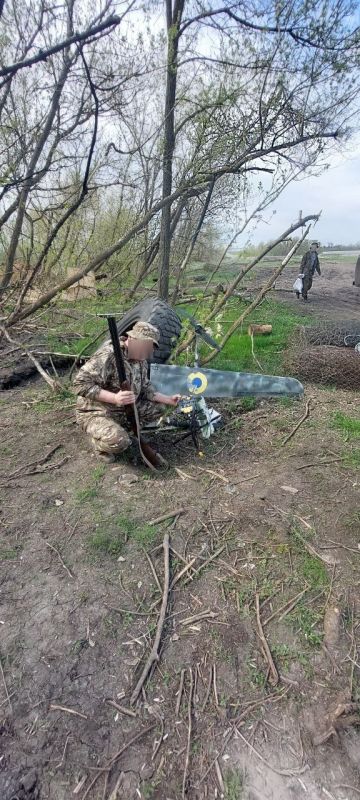 ������ �������: ������ ���������� ������! ��� ���� ������ �� ����-�������� ����������� ���������� �����������