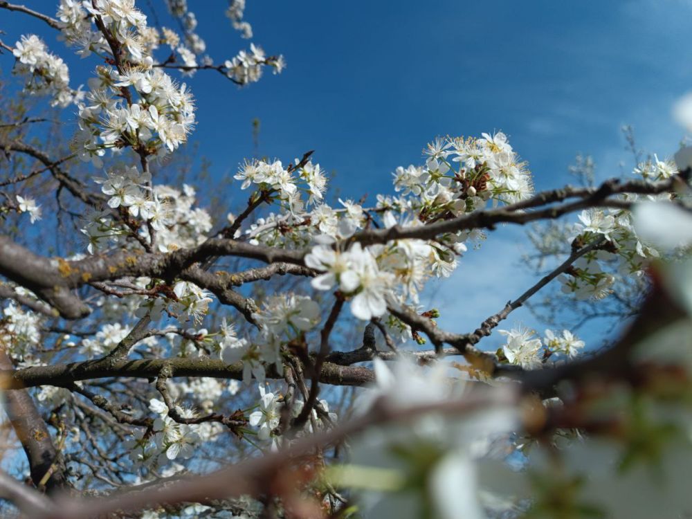 Игорь Лызов: Доброе утро, Амвросиевский муниципальный округ!