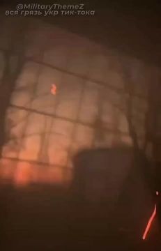 Российский FPV-дрон с кумулятивной боевой частью на Торецком направлении попал в бронеавтомобиль Oncilla, внутри которого находился расчет аэроразведчиков и водитель сводной бригады «Хищник»