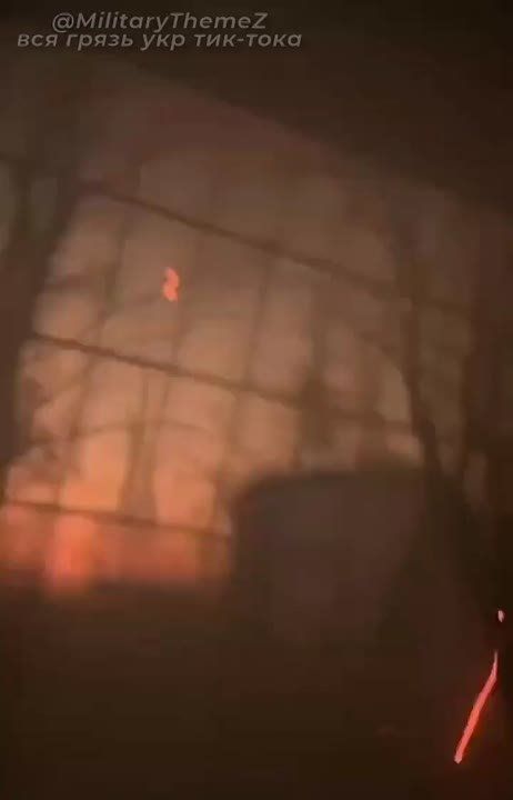 ���������� FPV-���� � ������������ ������ ������ �� �������� ����������� ����� � ��������������� Oncilla, ������ �������� ��������� ������ ��������������� � �������� ������� ������� �������