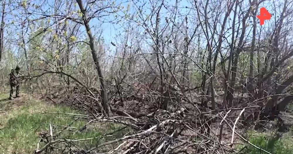 ����� �������� ����������� ������������ ������������ � ���
