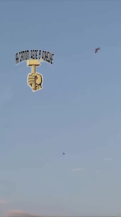 �������� � ����