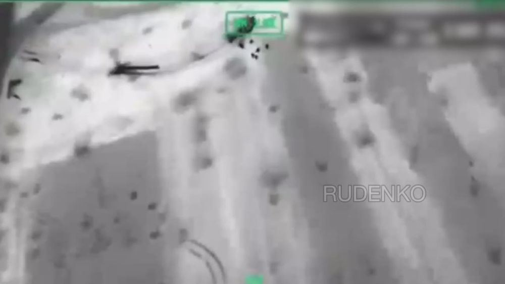 ������ �������: �������������� ����������� ����� ������� ���������� ��������������� ������������� ������������ �113 � ������ ������ ��� �� ����-�������� �����������