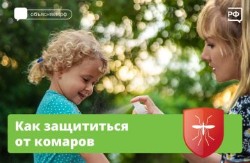 С наступлением тепла просыпаются комары