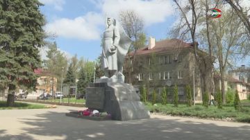 80 саженцев из Нижнего Новгорода