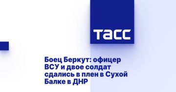 Боец Беркут: офицер ВСУ и двое солдат сдались в плен в Сухой Балке в ДНР