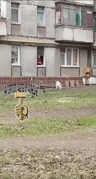 В Донецке бывает и такое. ПОДПИСАТЬСЯ