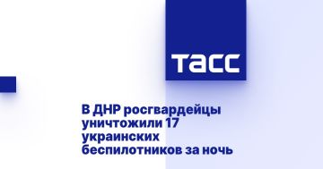 В ДНР росгвардейцы уничтожили 17 украинских беспилотников за ночь