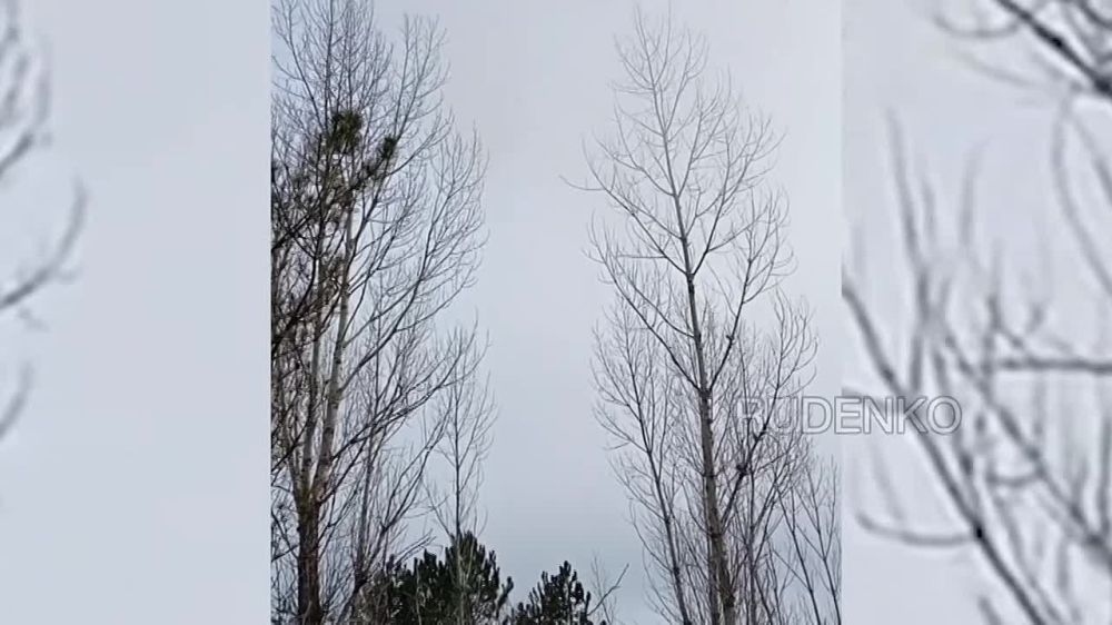 ������ �������: ������� ��� �������-10̻ 38-� �������������� ������� ����������� ����� ������� ������������� ���������� ������������ �� ����-�������� ����������� �� ��������� ���� ���