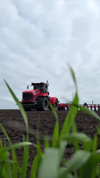 ����� ����������: ������� ��������� ������� ����� � ����������� ������������� �����