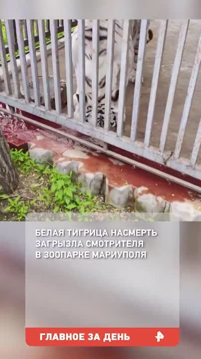 � ���������� ������ ������������ ������� ��������� ��������� ����������� �� ������ �������� �����