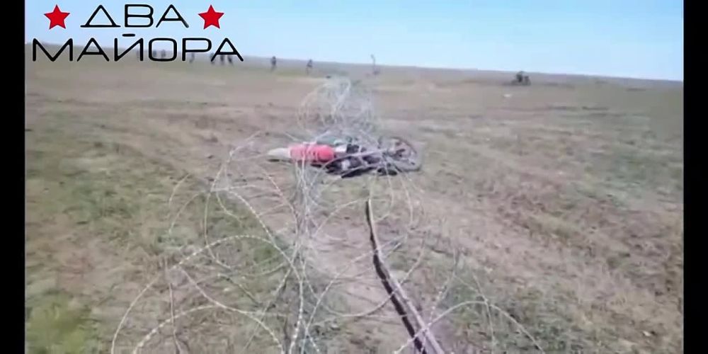 ��� ������: ���������� (���������������) �����������