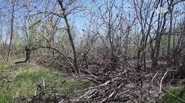 В тщательно спланированной операции по освобождению Сухой Балки в ДНР участвовали несколько подразделений