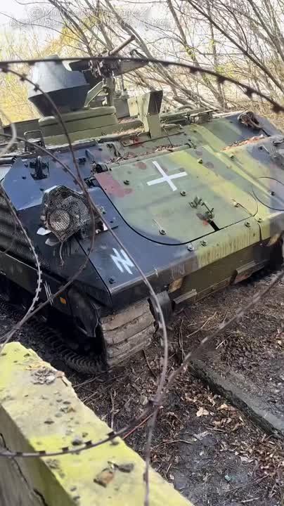 ��������� ��� M113G4DK (�113) ��� 3 ���� "�����" �������� �� ���� "�������" �������� ������� (�������� �����������)