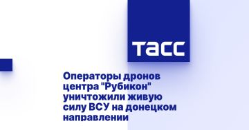 Операторы дронов центра "Рубикон" уничтожили живую силу ВСУ на донецком направлении