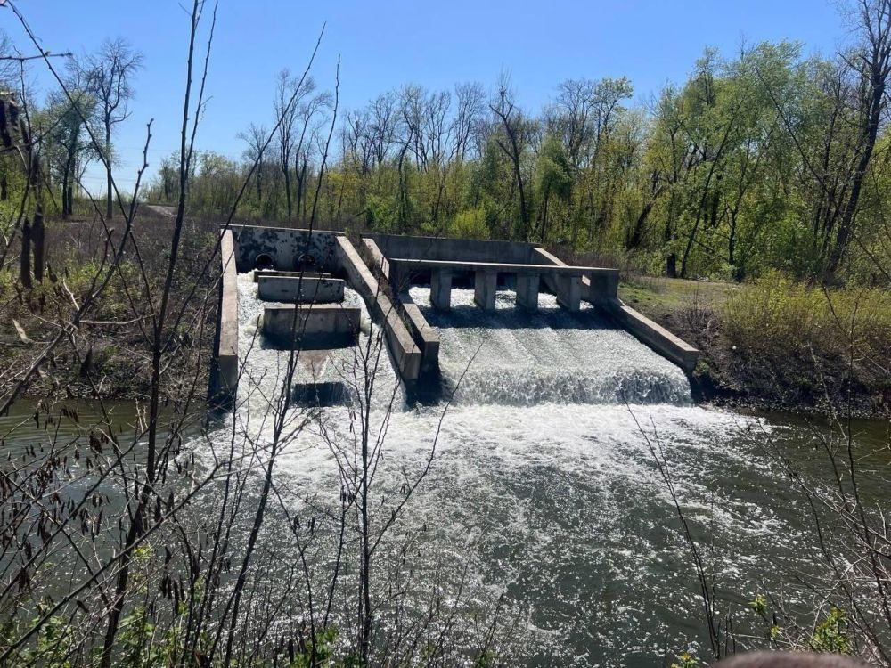 ����� ����������� ������: ������������������ �������������� ������� ���� �������������