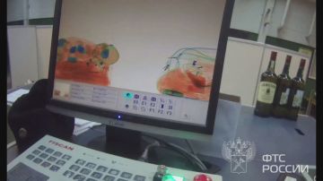 Спрятанный в игрушечных кукле и обезьянке метадон обнаружили псковские таможенники у пассажирки из Латвии
