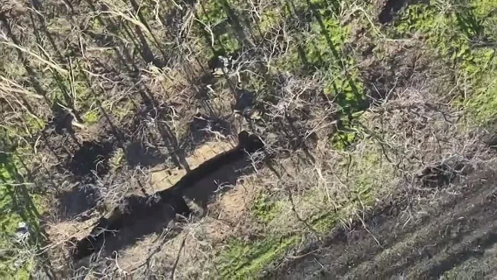 ������� ���������: ������ ����� � ����-��������� �����������