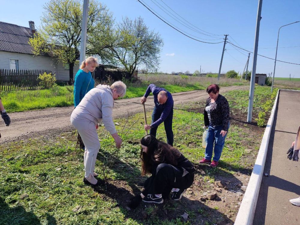 Сегодня 24 апреля в честь 80-летия Победы в Великой Отечественной войне сотрудниками Моспинского территориального управления совместно с сотрудниками МБУК «Клуб с. Бирюки г.о. Донецк» были высажены насаждения в память о...