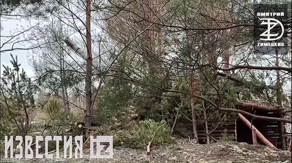 ������� ��������: ��������� �� ��������������� �����������