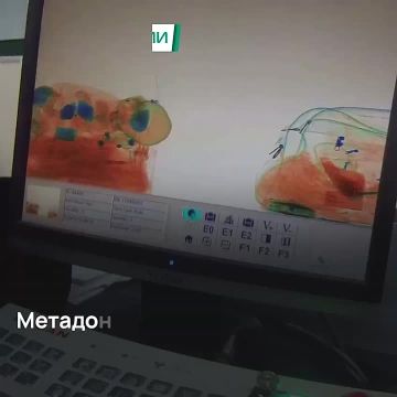 Метадон в детских игрушках обнаружили псковские таможенники у пассажирки из Латвии